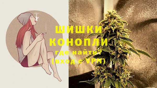 амф Переславль-Залесский