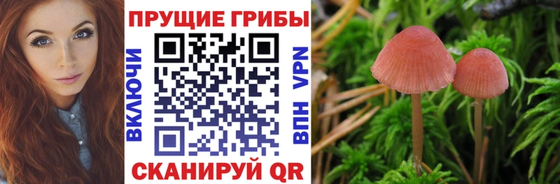 Галлюциногенные грибы мицелий  Усолье 
